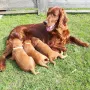 2,5 Wochen und der erste Besuch im Garten