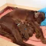 Die erste Nacht haben wir gut überstanden 