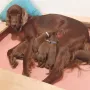 in der Nacht werden wir 1 Woche alt