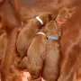 Gleich 1 Woche und wir sind gut genährt