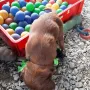 Spielzeug ohne Ende