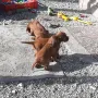Es geht rund bei uns