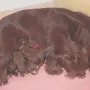 An Mamas Milchbar fühlen wir uns wohl