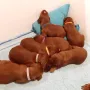2 Wochen