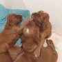 3 Wochen sind wir alt