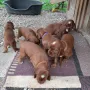 Morgen werden wir 4 Wochen jung