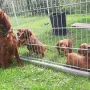 Tante Ypsi möchte immer mit uns spielen