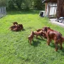 7 Wochen und wir genießen die letzte Woche in Aurach