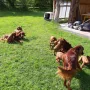 7 Wochen und wir genießen die letzte Woche in Aurach