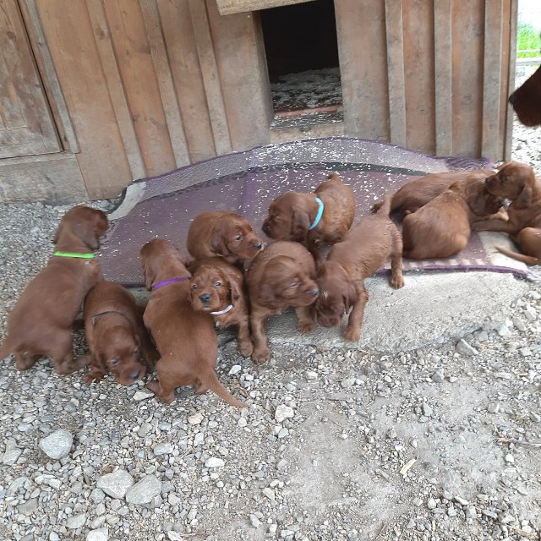 Wir sind heute in unser Schloss umgezogen