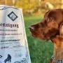 Vinz Louis vom Gebirgsägerhof der Vater unseres C³-Wurfes