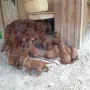Mama weist uns ein