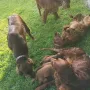 Und unsere Tanten sind mit dabei