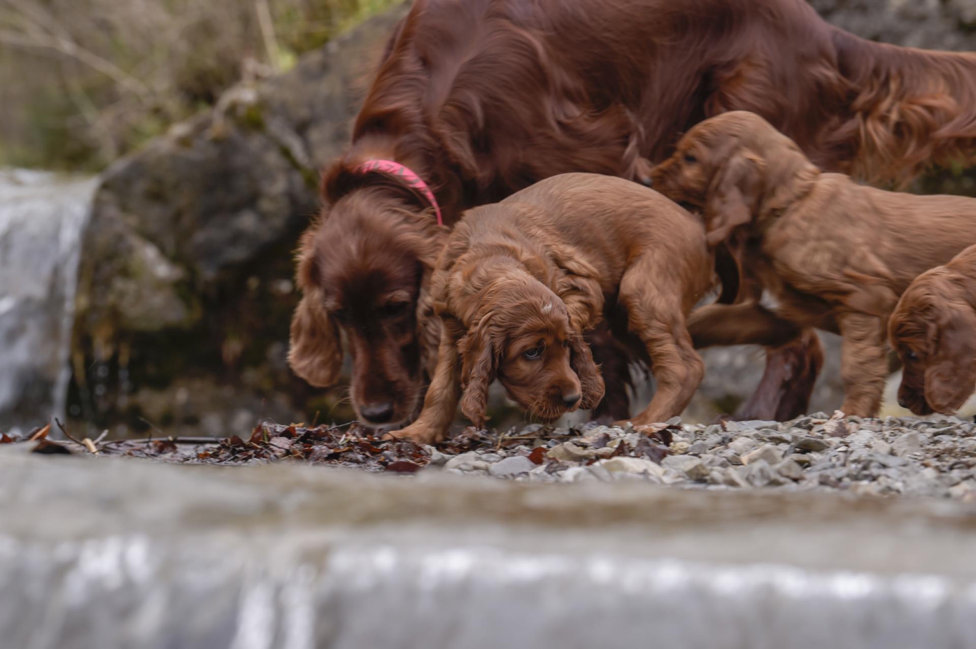 Fotoshooting an der "Gumpn"