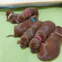 Nun sind wir 1,5 Wochen und uns geht´s gut
