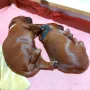 Heute sind wie 2 Wochen alt