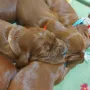 2 Wochen und 5 Tage sind wir alt