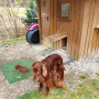 Unsere Mama besucht uns
