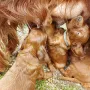 Mamas Milch ist das Beste