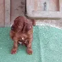 5 Wochen und ganz schön pummelig