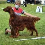 Marlland Break the Rules "Roy"