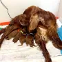Remember Winny und ihre letzten Kinder