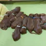 10 Tage sind wir alt und uns geht es prächtig. 