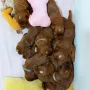 in Kürze weden wir 3 Wochen alt