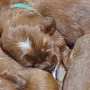 3 Wochen sind wir alt