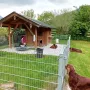 Umzug in unser Schloss, wir sind 4 Wochen alt