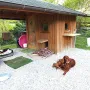 4 Wochen, Umzug ins Schloss