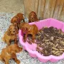 7 Wochen alr und unsere letzte Woche in Aurauch