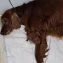 Die erste Prinzessin ist geboren