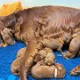 Wir haben die beste Mama