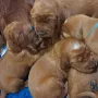 3 Wochen
