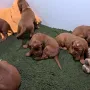 gute 3 Wochenalt