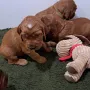 gute 3 Wochenalt