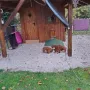 Umzug ins "Schloss"