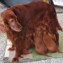 Mamas Milch ist immer noch das Beste