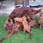 6 Wochen mit Tante Ypsi