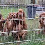 6 Wochen und alle neugierig