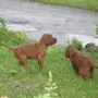wir entdecken die Welt :-)))
