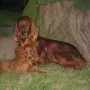 Ich bin`s Nummer 1 mit meiner Mama Winny