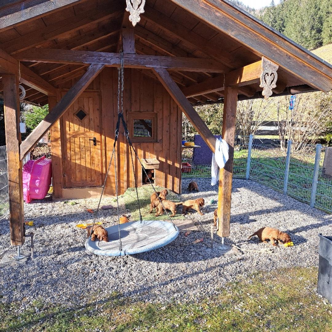 5 Wochen und jede Menge Spaß im Schloss