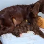 Anstrengend für SJ