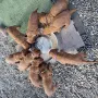 4 Wochen, Futtern im Schloss