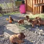 5 Wochen und jede Menge Spaß im Schloss