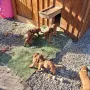 5 Wochen und jede Menge Spaß im Schloss