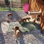 5 Wochen und jede Menge Spaß im Schloss