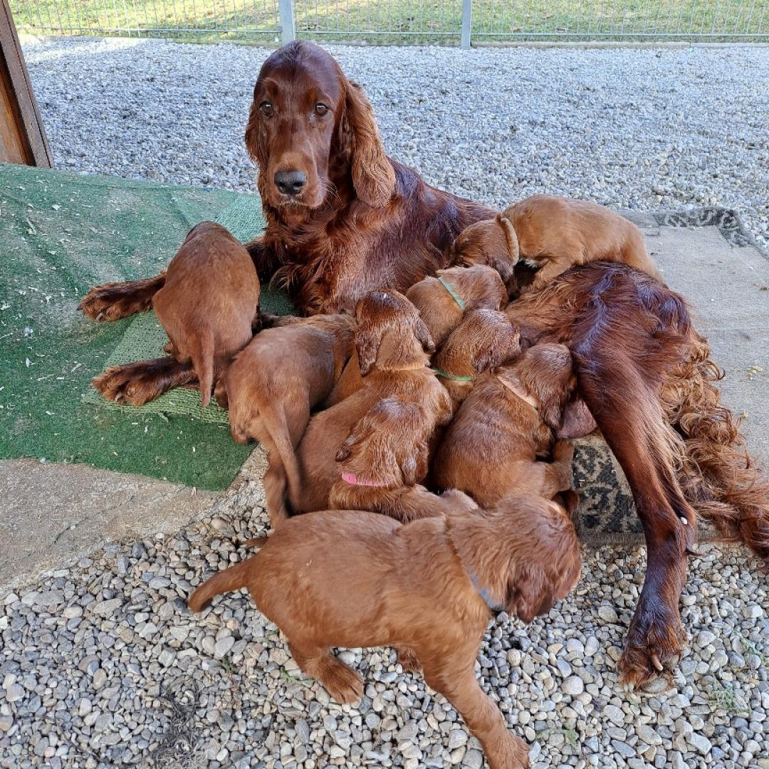 Bei Mama ist es am schönsten